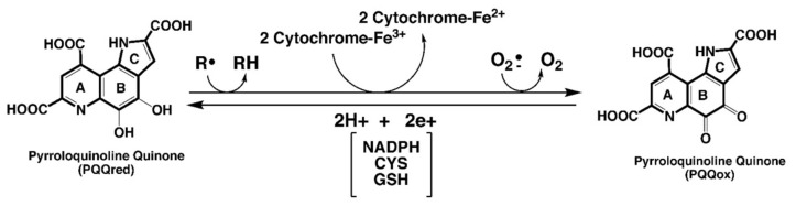 包含圖片、插圖等的外部文件。
對(duì)象名稱(chēng)為 biomolecules-11-01441-g001.jpg