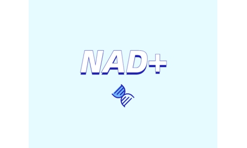 NAD+ 對身體有什么作用？如何獲取 NAD+？