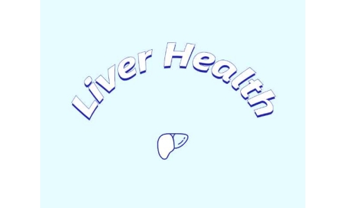 哪些原料可助力肝臟健康？